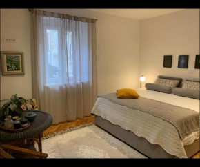 City center appartment near Arena-Pula